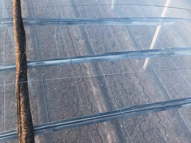 Agricultural industry