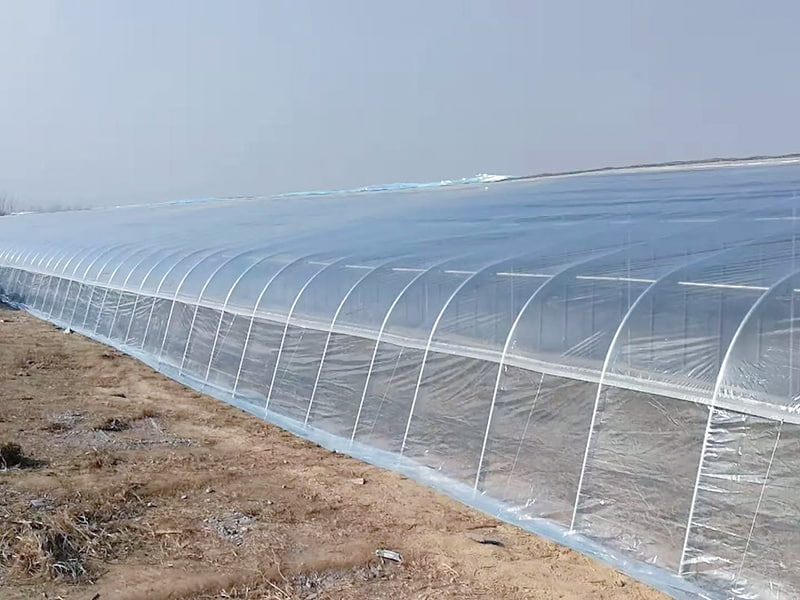 Agricultural industry