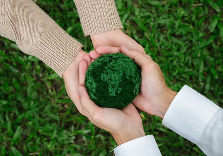 HANGZHOU DING HE PRODUCTOS DE ALUMINIO Y PLÁSTICO CO., LTD.